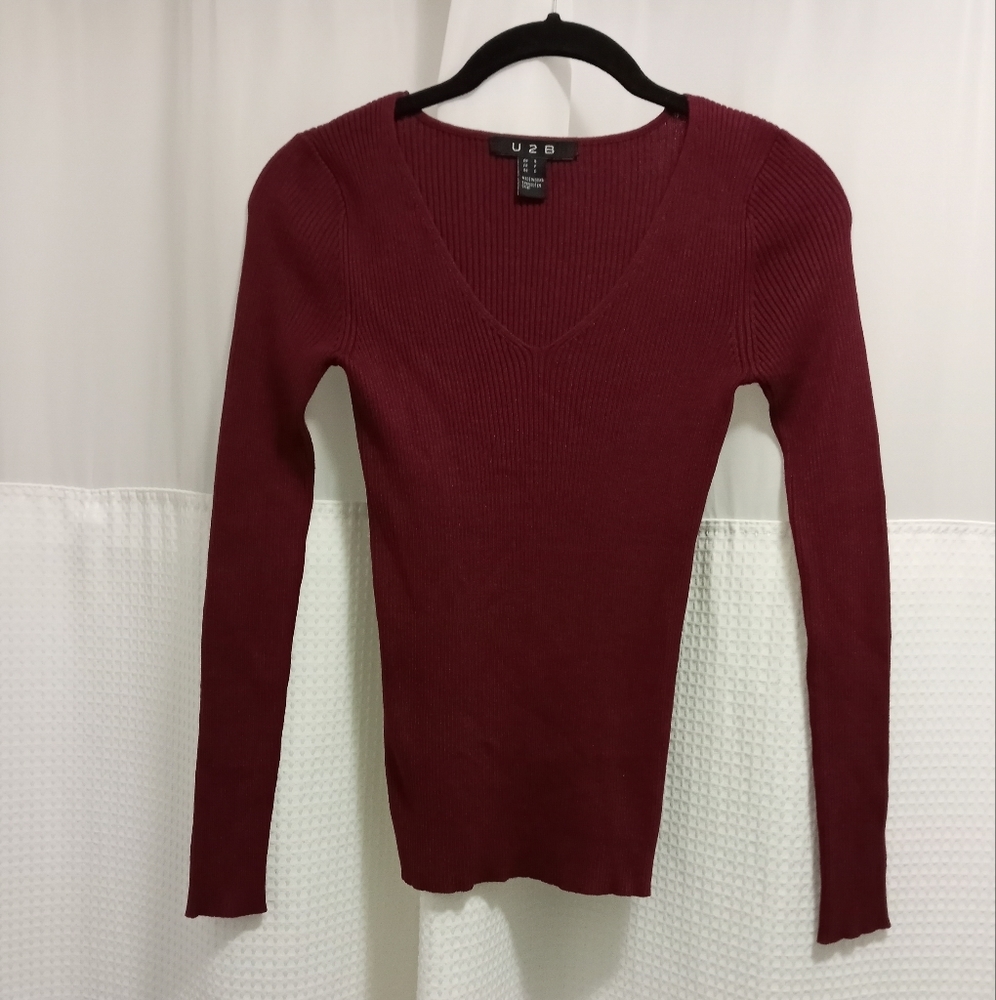 EUC v-neck fitted sweater.
